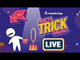 There’s A Trick For That LIVE Tricks Masterclass