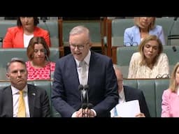 House Question Time 6 November 2024