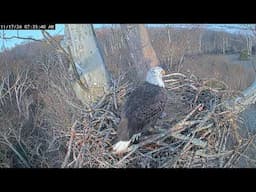 Live! From the Lower NCTC Eagle Nest