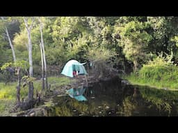 BERMALAM DI DANAU RAWA DAN PANEN IKAN DI DALAM PERANGKAP SAAT AIR RAWA SURUT...