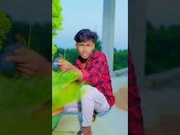 গার্লফ্রেন্ডের চয়েস | #bangla_natok #rasidfunny #banglafunnyvideo #rowshantv #comedy #banglanatok