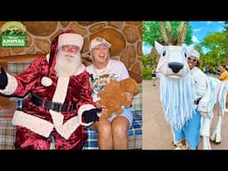 Disney’s Animal Kingdom HOLIDAYS! NEW - Dinoland’s LAST Christmas, Santa, Special Characters & More