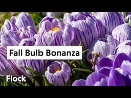 FALL BULB Planting Bonanza — Ep. 280