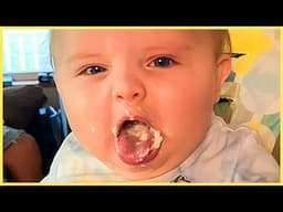 Funny Baby Love Food: Baby Eating Compilation || 5-Minute Fails