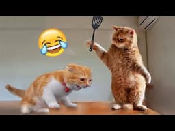 Funniest Animals 😄 New Funny Cats and Dogs Videos 😹🐶