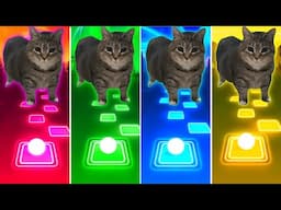 Oiiaoiia Cats - Tiles Hop EDM Rush