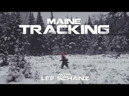 Tracking Bucks in Maine with Maine Guide Lee Schanz, Jr. | BIG WOODS BUCKS