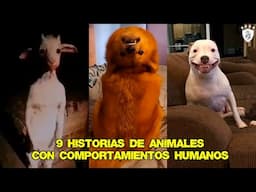 9 Historias de Animales con Comportamientos Humanos