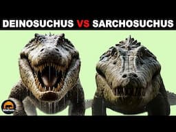 What Was The Difference Between Deinosuchus and Sarchosuchus?