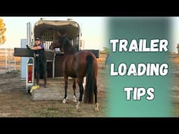 Essential Tips for Loading a Young Horse