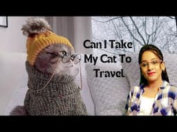 Can I take my cat to travel ? Tamil