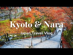 Trip to Kyoto & Nara | First Time in Japan 🇯🇵 | Travel Vlog