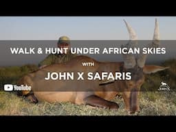 Walk & Hunt Under African Skies | John X Safaris