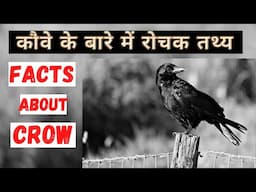 कौवे के बारे में रोचक जानकारी | Top 20 Interesting Facts about Crow | In Hindi