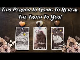 🤎🧸 This Person Is Going To Reveal The Truth! 🧸🤎💕  Pick A Card Love Reading What Do They Have To Say?