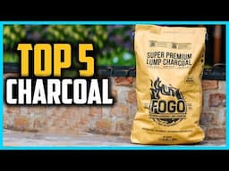 ✅Top 5 Best Charcoal in 2024