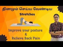 Simple Daily Stretches for Posture Correction & Back Pain Relief | Suitable for All Ages