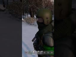 RABBITS IN DAYZ!?!?!!