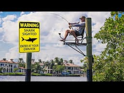 Shark Fishing From a TreeStand in Front of Million Dollar Homes!