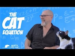 The Cat Equation - You Get Out What You Put In