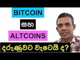 BITCOIN සහ ALTCOINS දරුණුවට වැටෙයි ද? | CRYPTO BULL RUN 2024