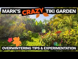 Mark's Crazy Tiki Garden October 2024 - UK Tropical Plant Overwintering Tips