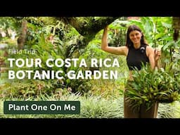 10-Acre BOTANIC OASIS Tour at COSTA RICA Hotel — Ep. 402