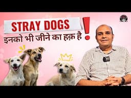 Stray Indie Dogs 🦮 Se Aise Apna Bond Banaiye - By Baadal Bhandaari