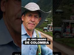 Documental De Café Colombiano | Teaser Oficial ☕️ #DocumentalDeCafé #Shorts #Colombia