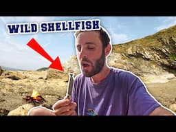 I forage for shellfish and become embroiled in a village dispute [Cornwall Tenner #2]