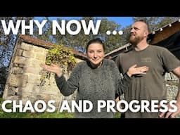 CHAOS on the HOMESTEAD! | PROGRESS on the BUILD!!!