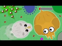 MOPE.IO LEGENDARY RARE WHITE RHINO TROLLING! 99.9% Impossible Animal...