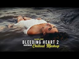 Bleeding Heart 2 Mashup 2024 ( Vdj Shana Mashup ) | Heartbreak Chillout