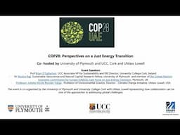 COP28: Perspectives on a Just Energy Transition