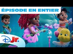 Ariel - Nouvel épisode en avant-première !