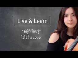 Live and Learn ไวโอลิน cover