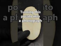 Photographic... Potato?