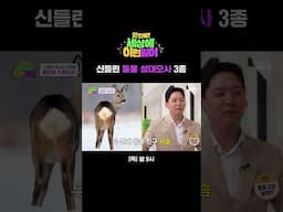 동물과 소통까지 가능한 성대모사 달인?! 말, 사슴, 매미까지 특이한 동물 성대모사🐎 | 와!진짜? 세상에 이런일이 | SBS