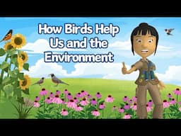 A WonderGrove for Birds: How Birds Help Us & The Environment