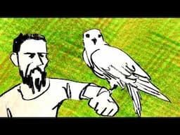 Eric The Falcon | CMTOWN ANIMATED