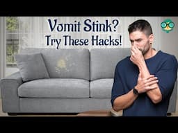 How to Get Vomit Smell Out of a Couch? How do you get puke smell out of a couch?