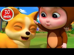 Baby Take Care Of Animals | Old MacDonalds Song +More Kids Songs & Nursery Rhymes