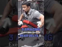 3 Amazing Exercises for Your Rear Delts !! #shorts