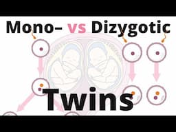 Difference between Monozygotic and Dizygotic Twins