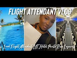 FLIGHT ATTENDANT VLOG | Lead Flight Attendant, LIT Hotel, & Puerto Rico Layovers