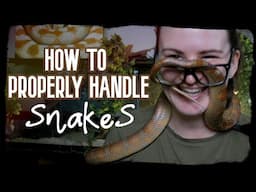 HOW TO PROPERLY HANDLE SNAKES