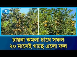 চায়না কমলার দেশেই চাষ, খরচের চেয়ে দিগুণ লাভ | China Orange | Profit | Earning | Rtv News