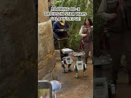 NEW BD-X Droids Roaming in Star Wars Galaxy’s Edge!