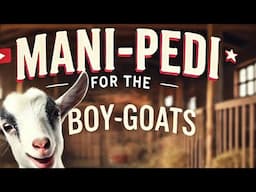 Mani-Pedi for the Boy Goats: Is Animal Husbandry Content at Risk?