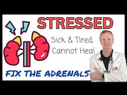 ADRENAL TREATMENT TO HELP THE BODY HEAL FASTER #144 | https://drstephenstokes.com